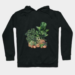 House Plants Illustration 8 Hoodie